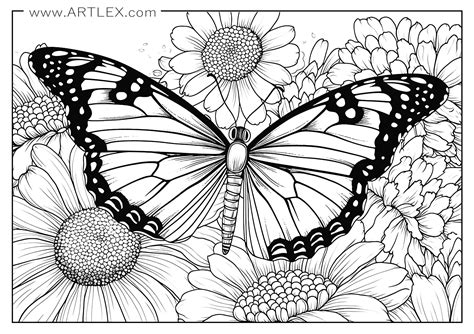 Butterfly Coloring Pages Hard