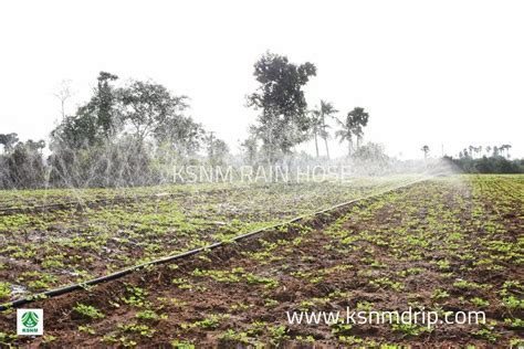 Drip Irrigation System - Drip Irrigation Tube Manufacturer from Coimbatore