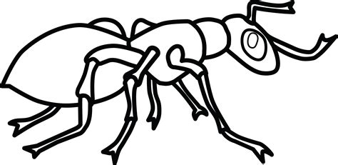 Bring a Tiny World to Life with Ant Clip Art