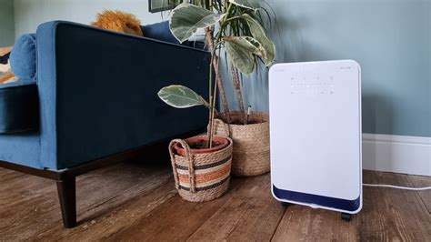 5 savvy reasons to buy a dehumidifier in summer not winter | Woman & Home