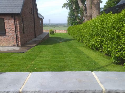 Fresh Turf Rolls Newcastle | Same Day Delivery | Newcastle Turf