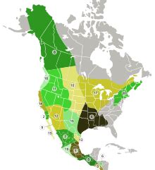Image result for Pyplot Representation through Graph in Dataset in Python