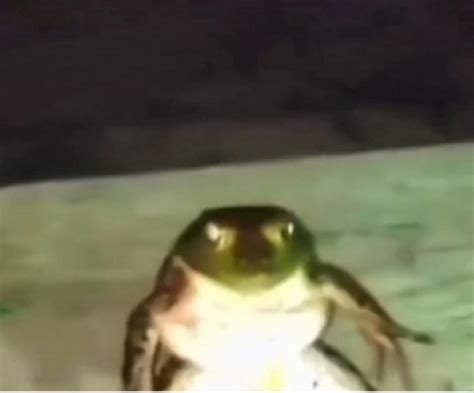 Image result for Toad Rage Meme