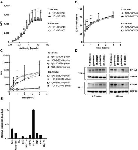 Slc46 Structure 的图像结果