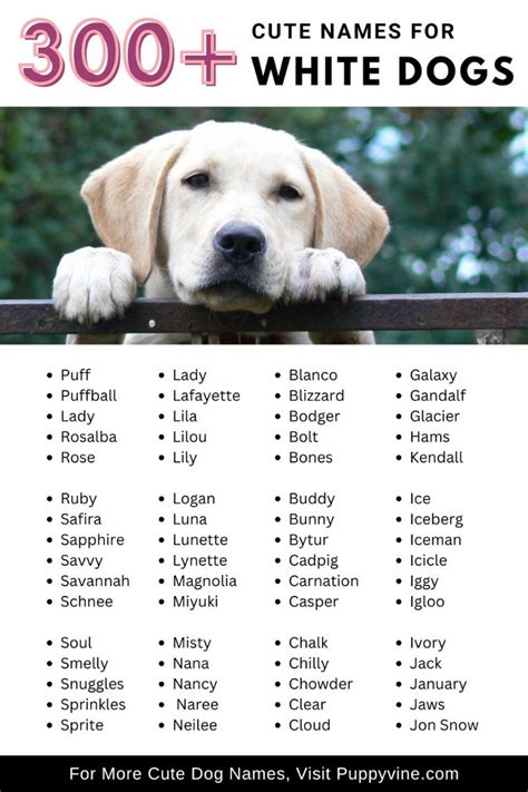 Image result for Spring/Summer Fall/Winter Worksheet