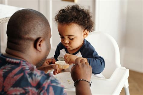 Advance Directive vs. Living Will: Definitions & Differences