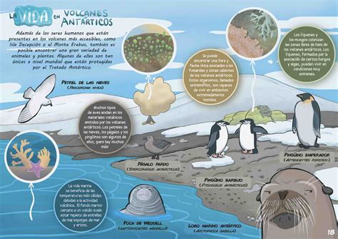 Spanish version of "Antarctic Volcanism: Explore the Remotest Volcanoes ...