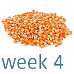 Zwangerschap vergelijken met fruit en groente - Baby fruit vergelijk