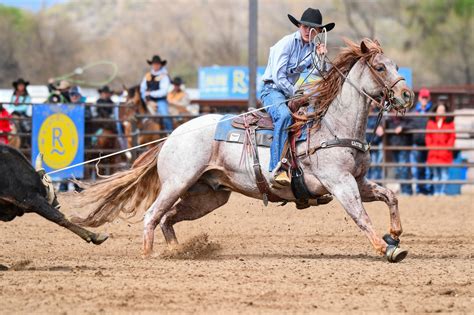 Image result for Team Roping.com