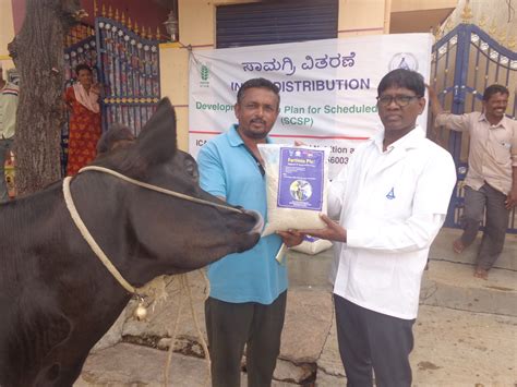 NIANP News and Announcements