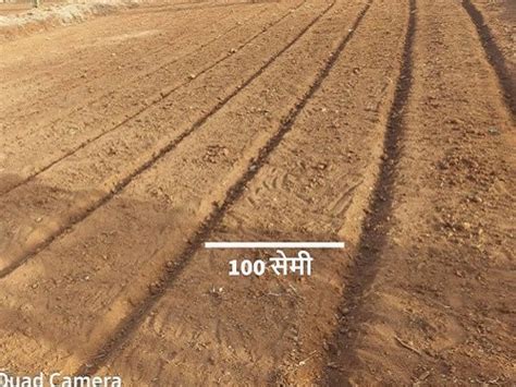 Saguna Rural Foundation :: Saguna Rural Foundation