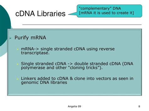 cDNA Library Definition 的图像结果