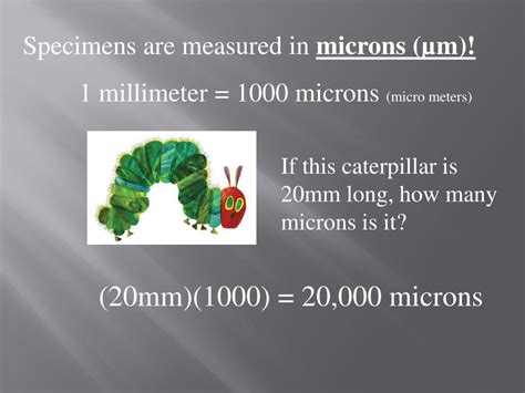 Field of View Microscope 的图像结果