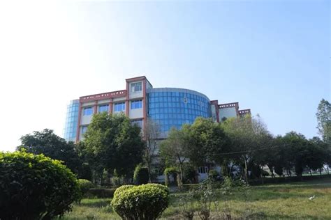 International Institute of Engineering and Technology Placements ...