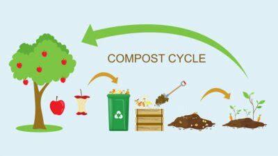 Image result for Decomposition Code Programing
