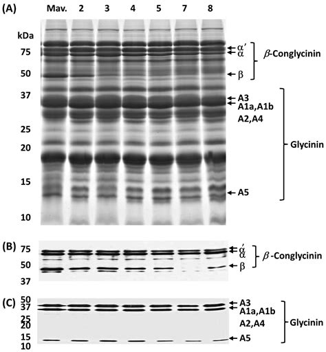 Bowman–Birk Inhibitor Mutants of Soybean Generated by CRISPR-Cas9 ...
