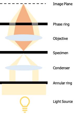 Image result for Phase Ring Alignment