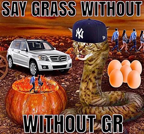 Yankee With No Brim! | Scrolller