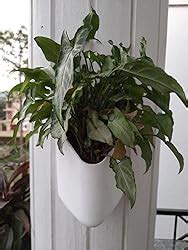 PLANTERS Plastic Wall Hanging Pot, White Front Height - 7", Back Height ...