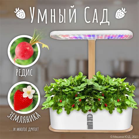 Гидропоника Свет – купить в интернет-магазине OZON по выгодной цене