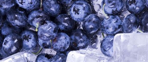 Download wallpaper 2560x1080 blueberries, ice, water, berries dual wide ...