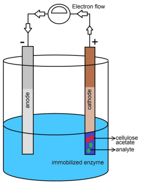 Recent Advances in Cellulose-Based Biosensors for Medical Diagnosis