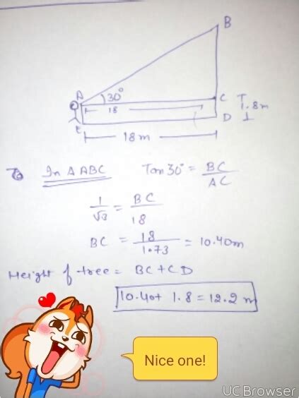 Roni stands 18 m in front of a tree. Tree tops seen by Roni with ...