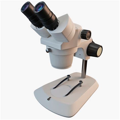 Stereo Microscope 的图像结果