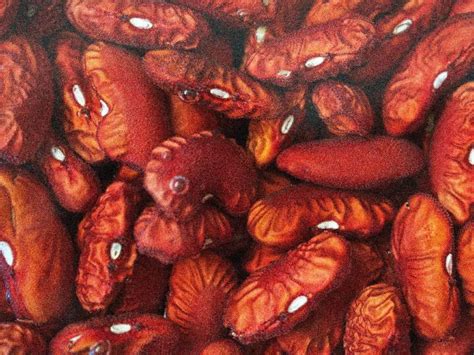 Rajma beans health benefits Kidney Beans good for health in winter ...