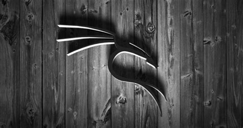 Top 11 System Information Commands in Kali Linux - Tech Hyme