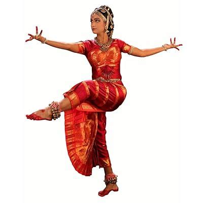 Buy Red Indian Classical Dance Bharatanatyam Dress Online at Lowest ...