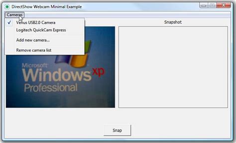 DirectShow VB.NET Example 的图像结果