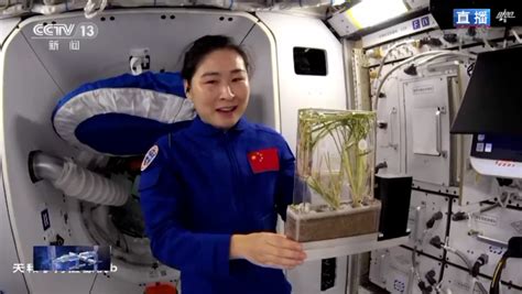 太空站如何种菜？美国NASA取得最新进展，种的菜跟地球上味道一样_腾讯新闻