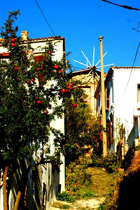 Image result for Best Examples of Local Colors