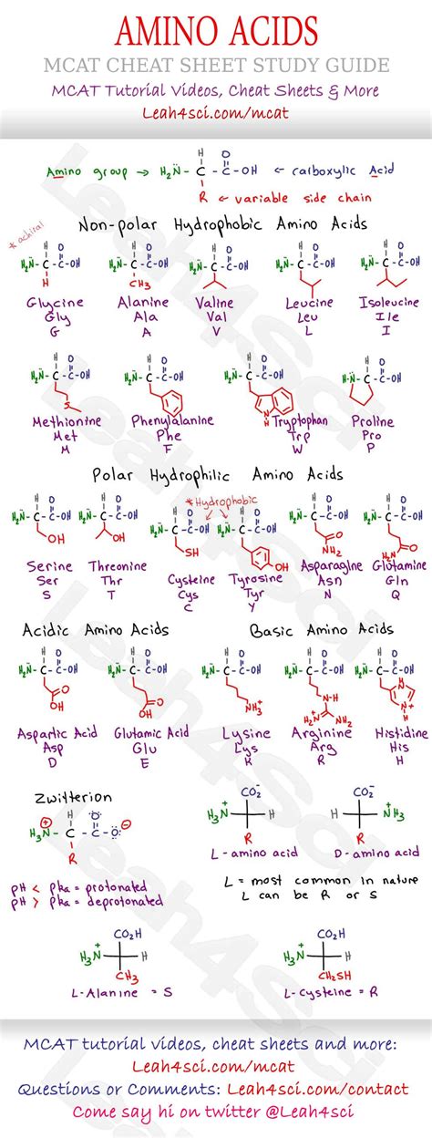 Amino Acid Chart MCAT Cheat Sheet Study Guide