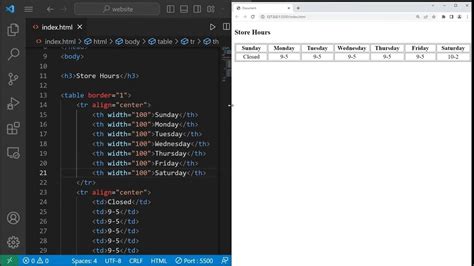 Bro Code Python 的图像结果