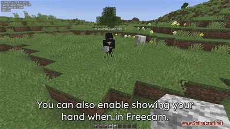 Minecraft Freecam Tutorial 的图像结果