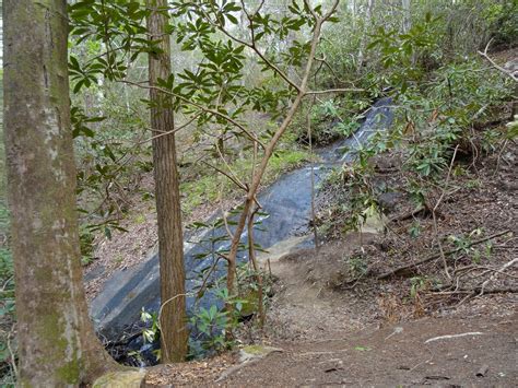 Femme au foyer: Wildcat Branch Falls