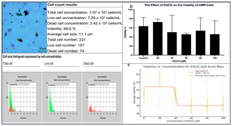 Biophysical Analysis of EGCG’s Protective Effects on Camptothecin ...