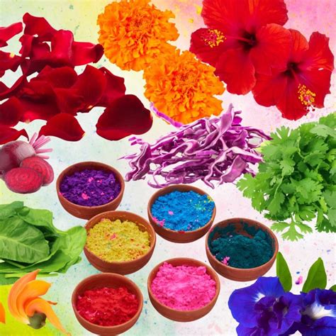 How to Make Organic Holi Colors at Home: A Step-by-Step Guide — Lazy ...