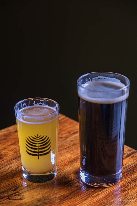 Wild Fern Brewing – Opening Day - Island in the Net