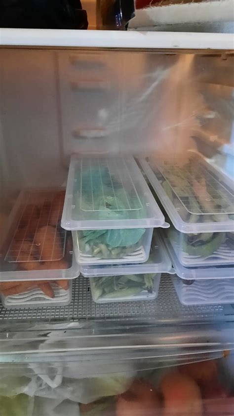 RELOZA Fridge Storage Boxes (Pack of 6), Fridge Organizer with ...