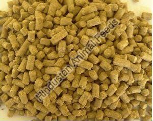 Guinea Pig Complete Life Cycle Feed Manufacturer, Supplier from Jamnagar