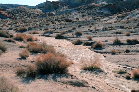 Dry River Bed Free Stock Photo - Public Domain Pictures