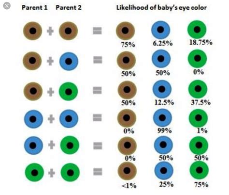 baby eye color calculator chart and predictor momjunction - how to ...