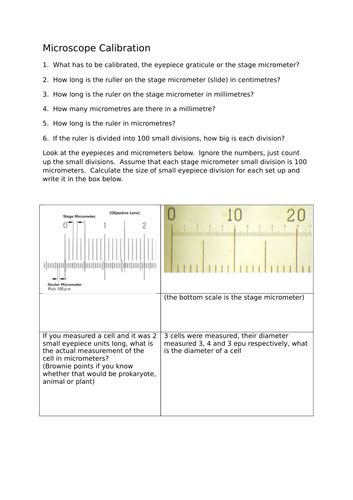 Image result for Microscope Calibration Procedure