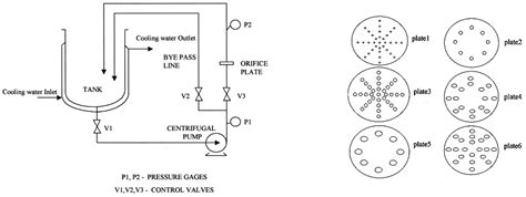 Plant and Biomass Extraction and Valorisation under Hydrodynamic Cavitation
