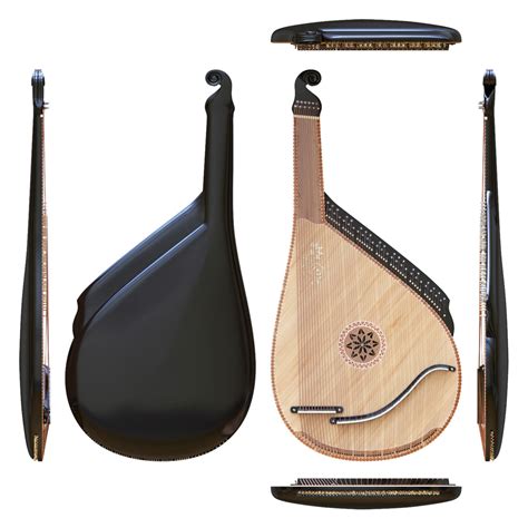 Image result for Plucked String Instrument