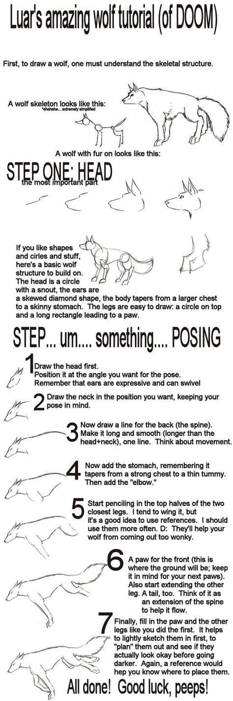 Image result for Wolf Art Tutorial