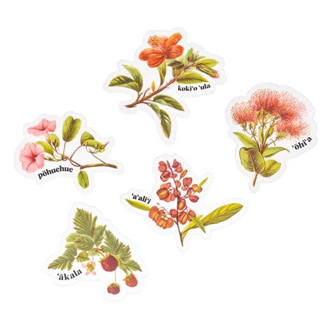 Native Pua Sticker Pack - ‘A‘ali‘i / ʻĀkala / Kokio / ʻŌhiʻa / Pōhuehu ...